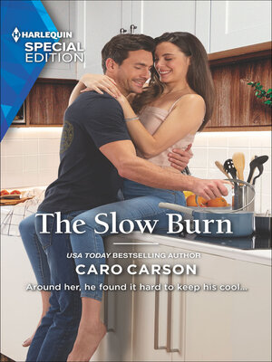 cover image of The Slow Burn